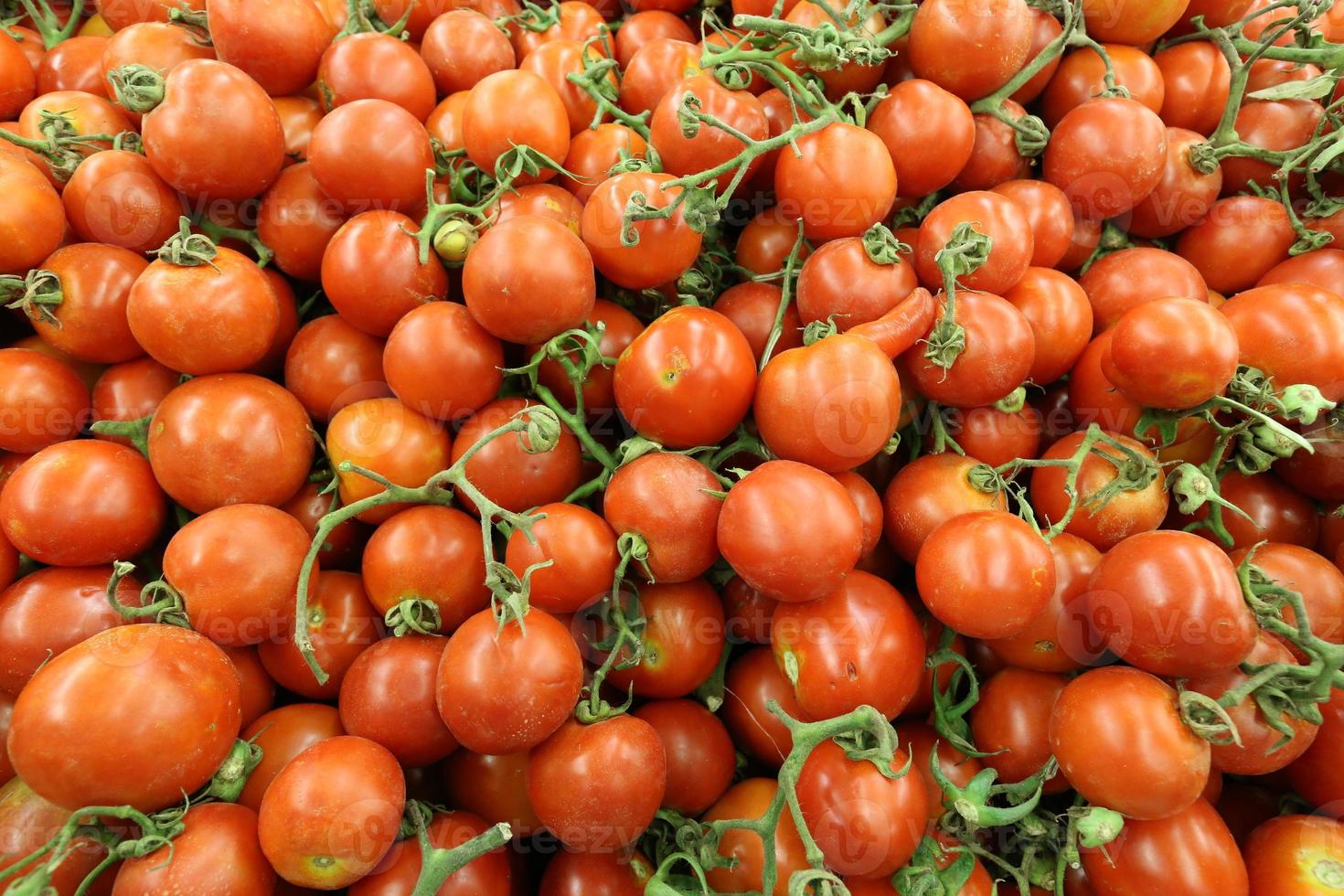 Fresh vegetables are sold at a bazaar in Israel photo