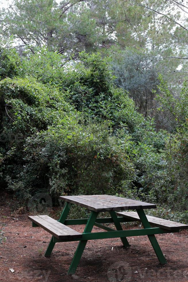 Bench for rest in a city park on the shores of the Mediterranean Sea. photo