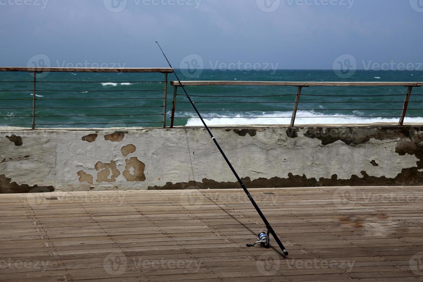 Fence in a city park on the Mediterranean Sea in Israel photo