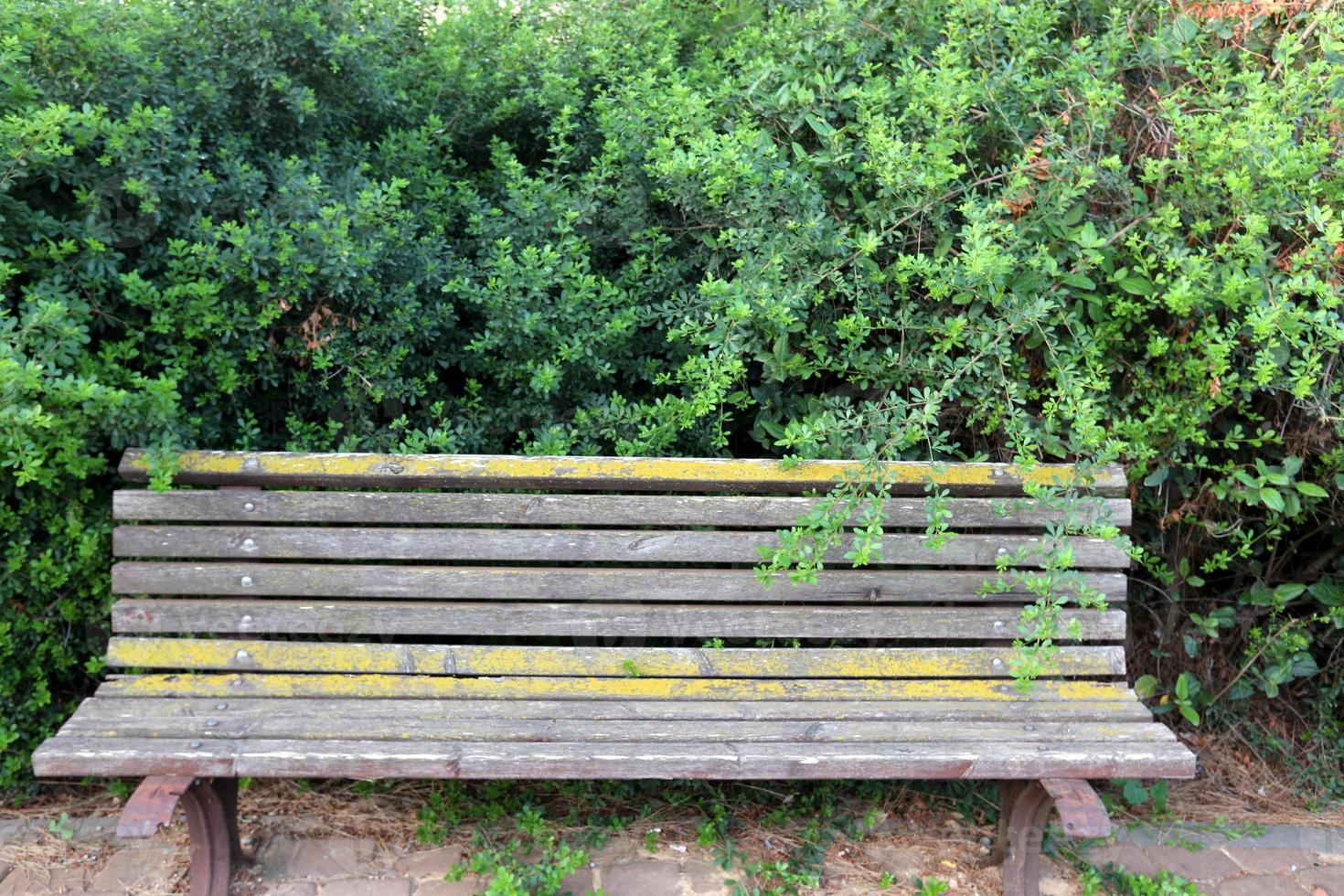 Bench for rest in a city park on the Mediterranean coast in northern Israel photo