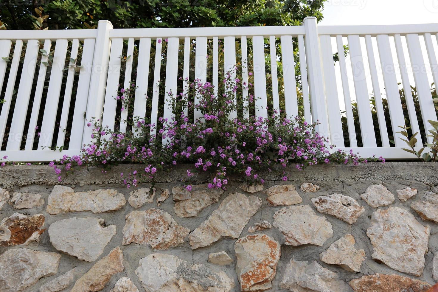 Fence in a city park on the Mediterranean Sea in Israel photo