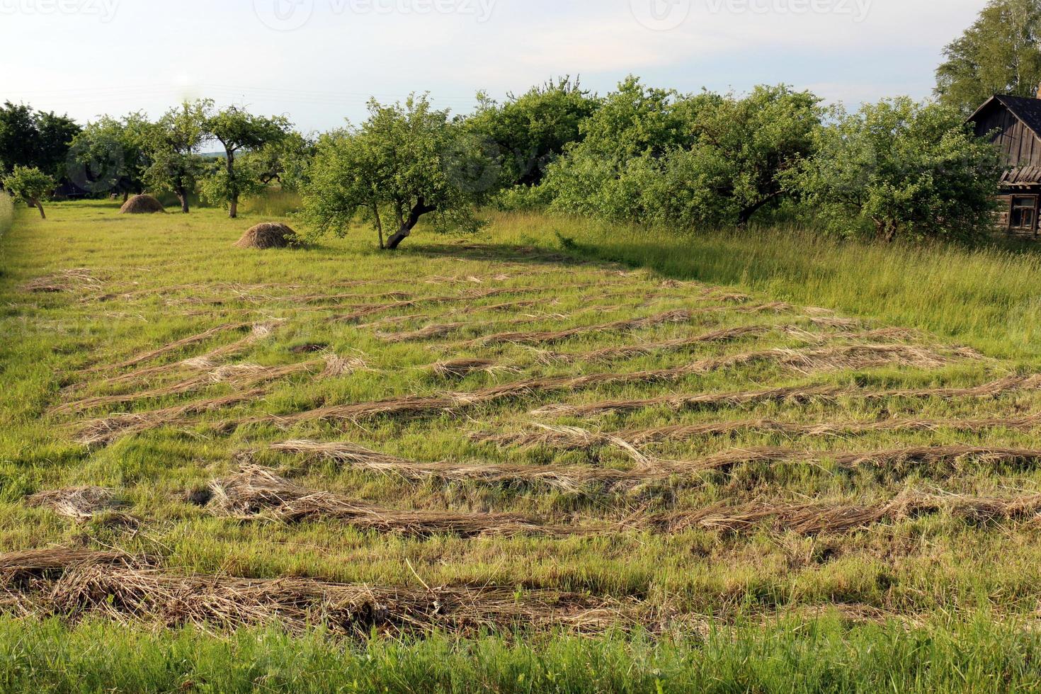 Natural landscape in northern Israel photo