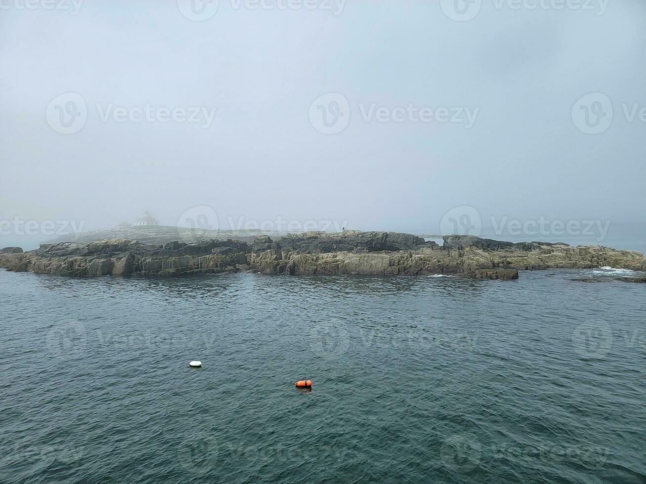 bald eagle on island with rocks and lobster floats on coast of Maine photo