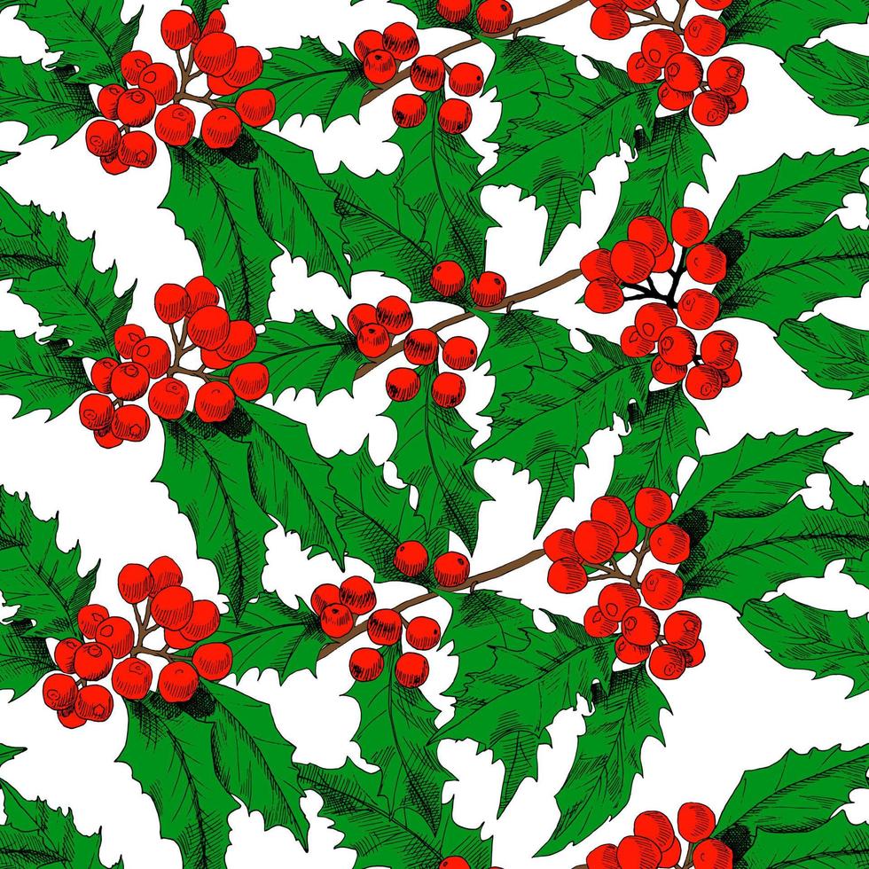 Seamless vector pattern with colored holly branches. Background for textiles, fabrics, covers, wallpapers, print, wrapping gift