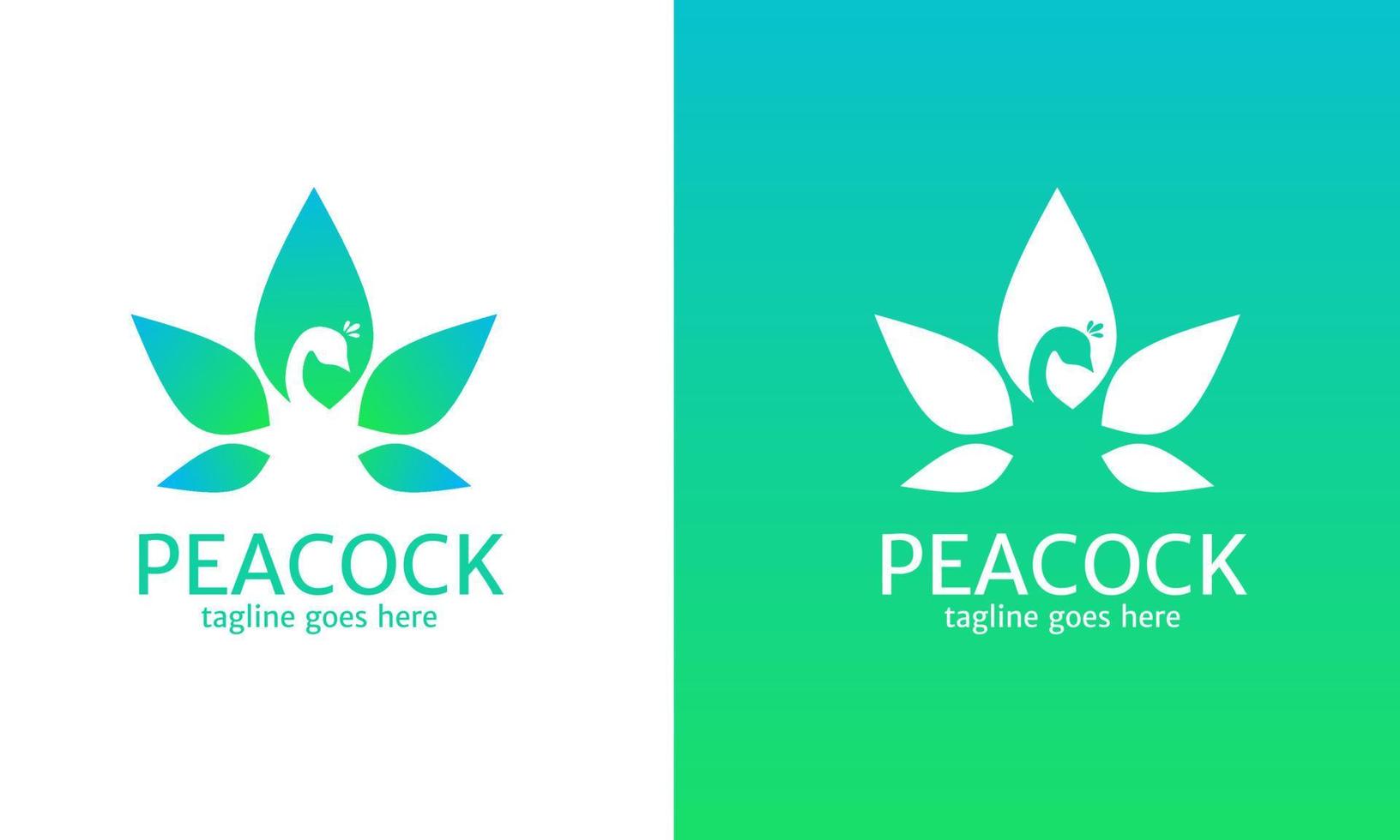 Illustration vector graphics of template logo beauty peacock