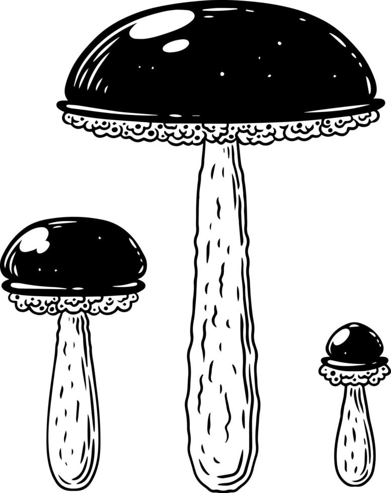 A set of black and white mushrooms. vector