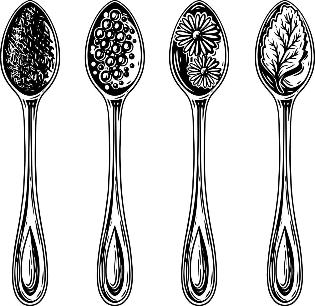 Spoons with spices and herbs. vector