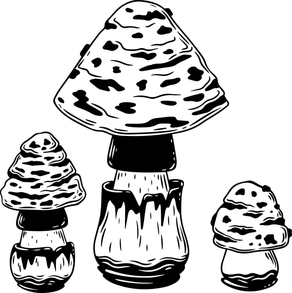 A set of black and white mushrooms. vector