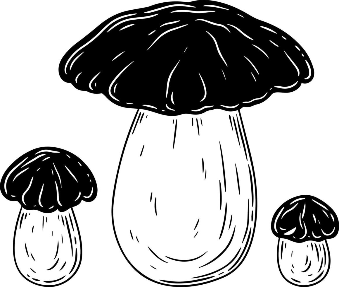 A set of black and white mushrooms. vector