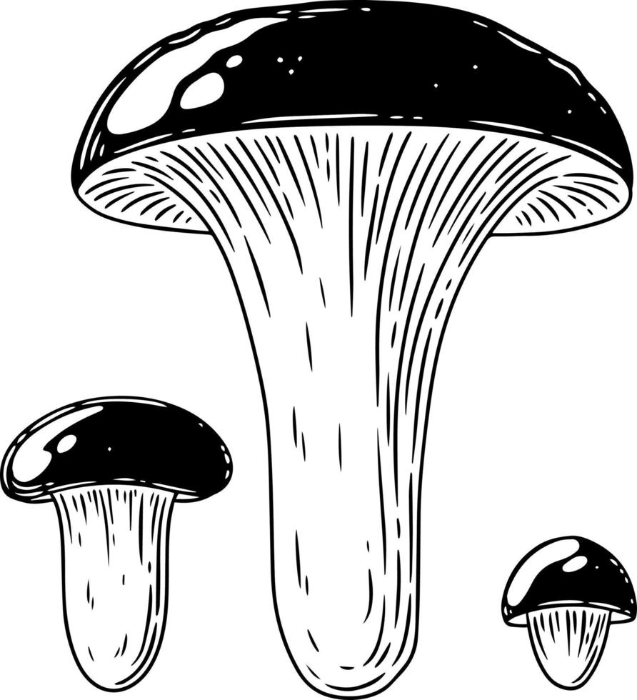 A set of black and white mushrooms. vector