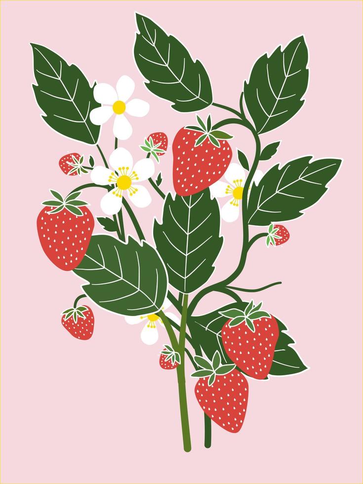 Branches of red strawberries, white flowers and green leaves, Flat vector image.