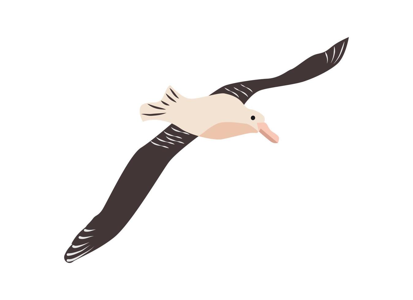 Australian wild animals. vector