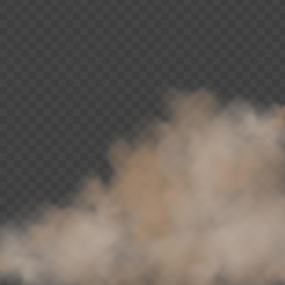 Dust cloud with particles dirt,cigarette smoke, smog, soil and sand. Realistic vector isolated on transparent background.