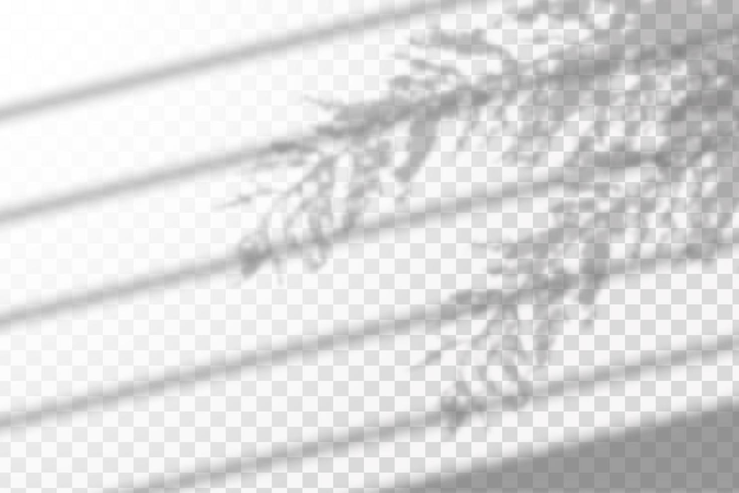 Soft shadow from the window form crystal rainbow  light and  flare transparent effects. Scenes of natural lighting. vector