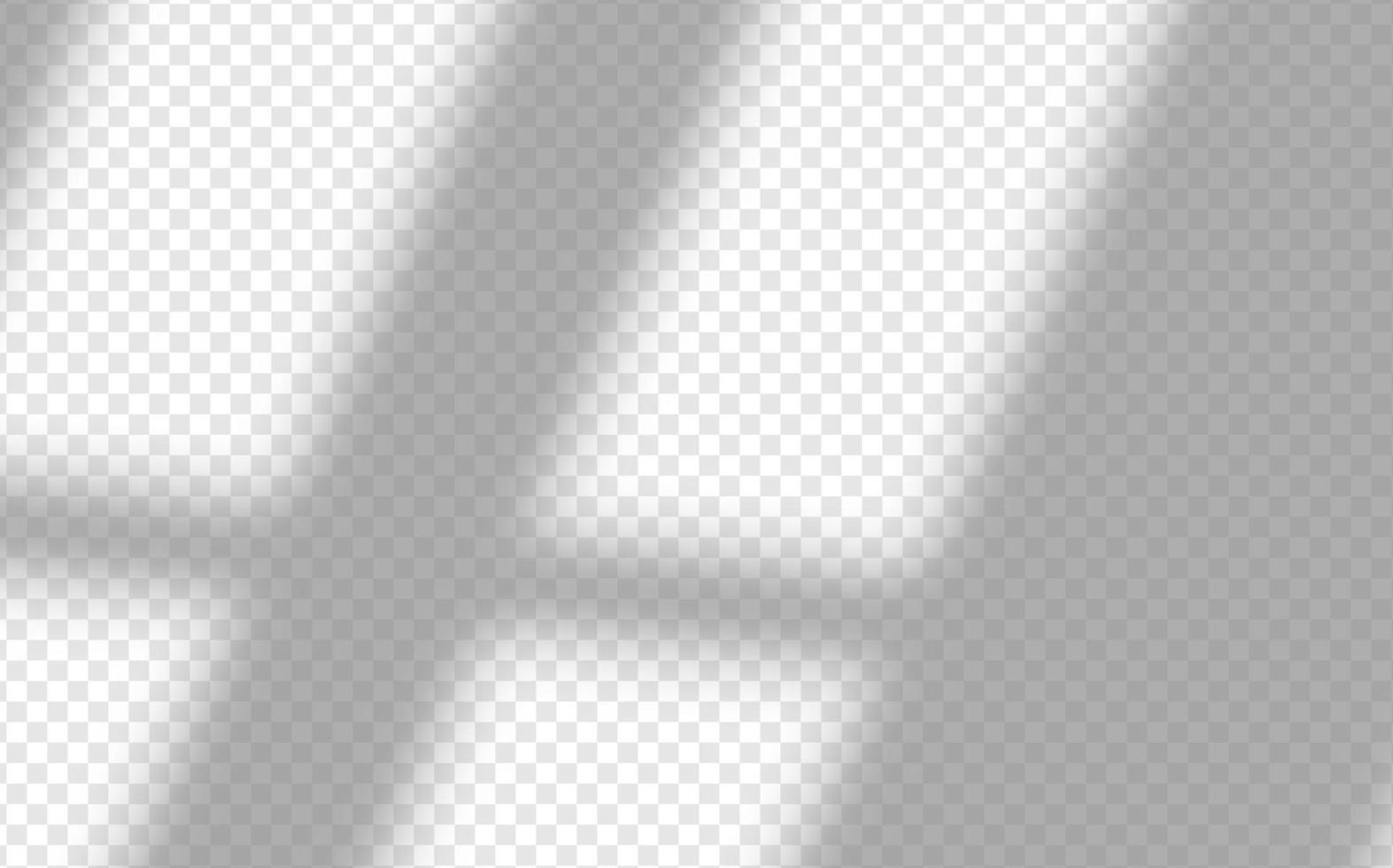 Soft shadow from the window form crystal rainbow  light and  flare transparent effects. Scenes of natural lighting. vector