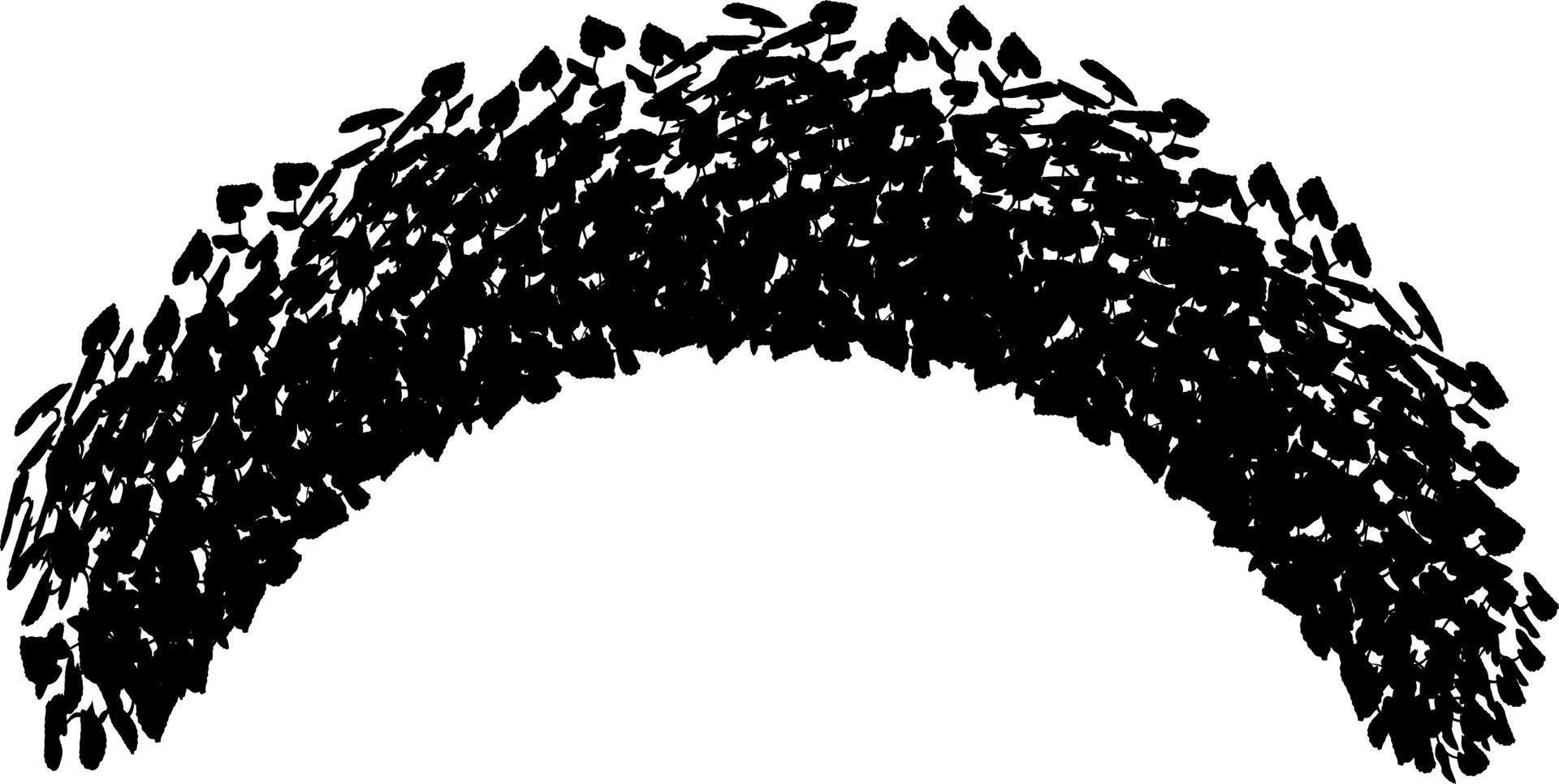 Monochrome vector drawing of bushes.