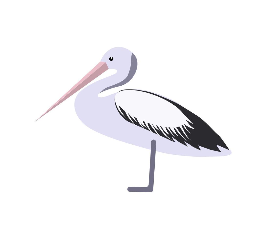 Australian wild animals. vector