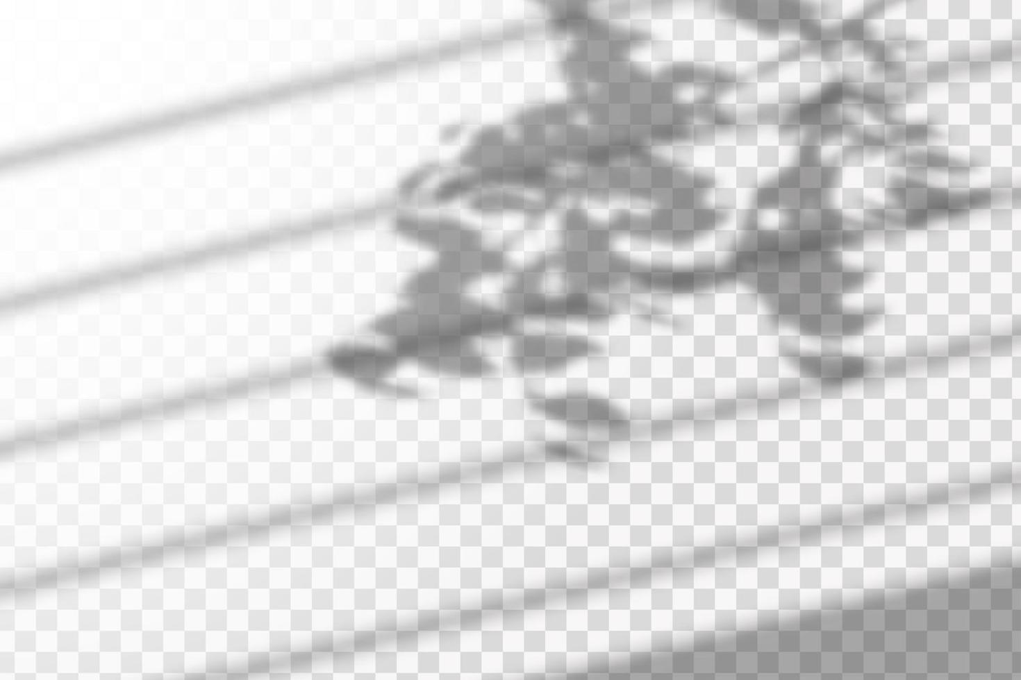 Soft shadow from the window form crystal rainbow  light and  flare transparent effects. Scenes of natural lighting. vector