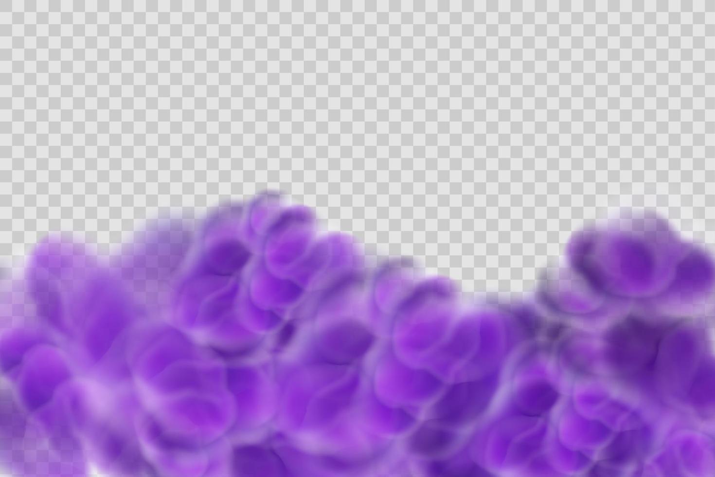 niebla violeta mística aterradora realista en la noche de halloween. gas venenoso púrpura, efecto de polvo y humo. vector