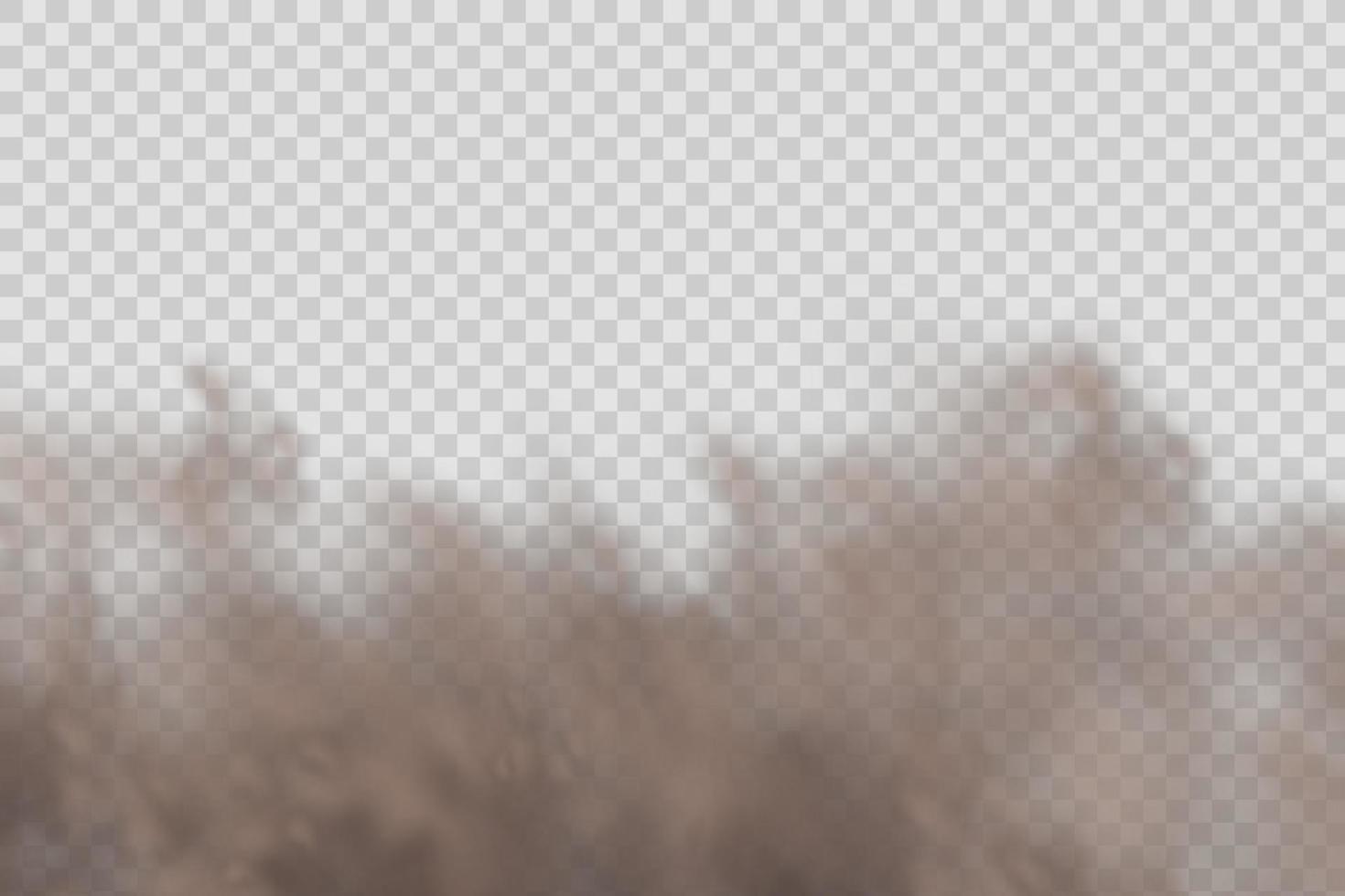 Dust cloud with particles dirt,cigarette smoke, smog, soil and sand. Realistic vector isolated on transparent background.