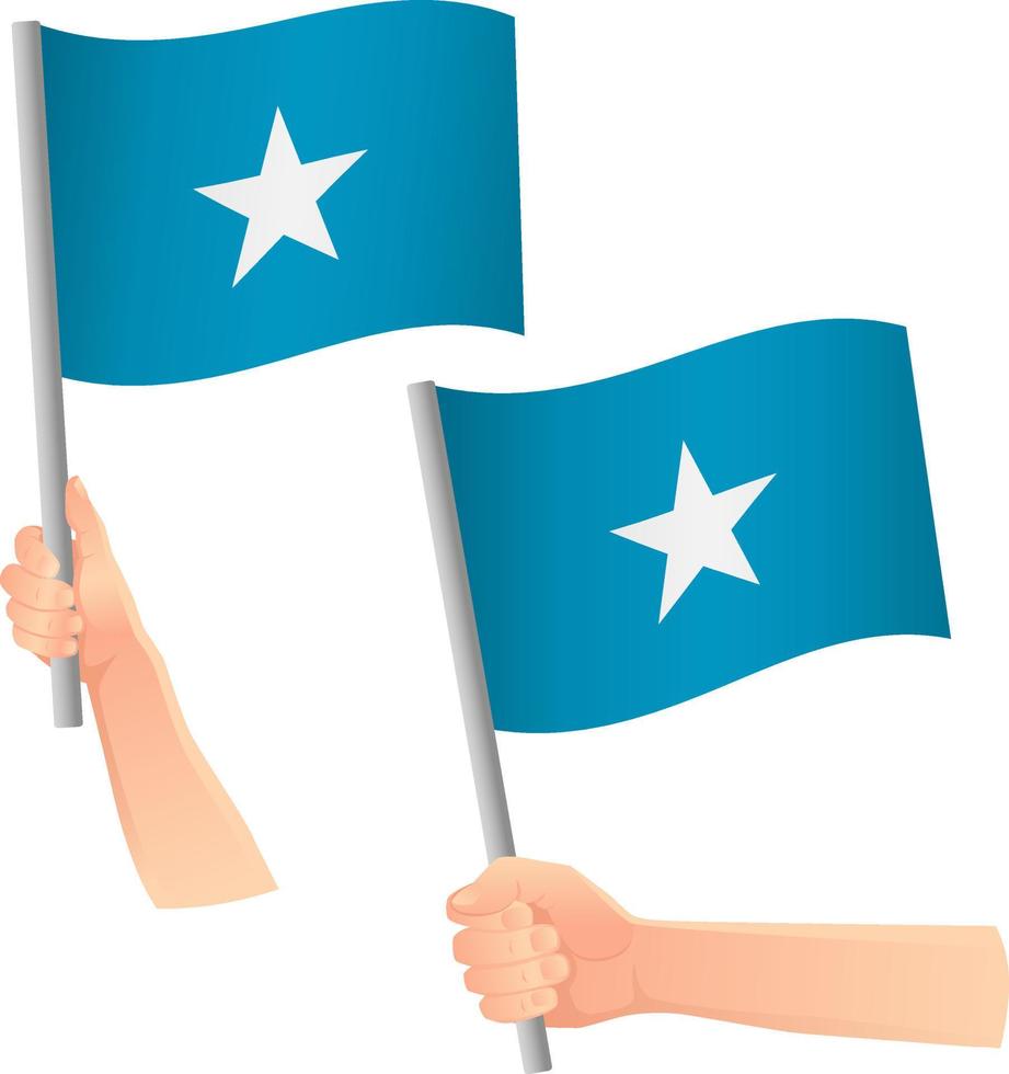 Somalia flag in hand icon vector