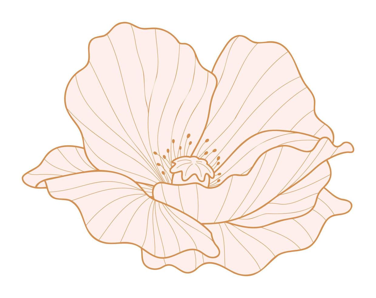 Poppy flower silhouette for design. Flower head vector icon