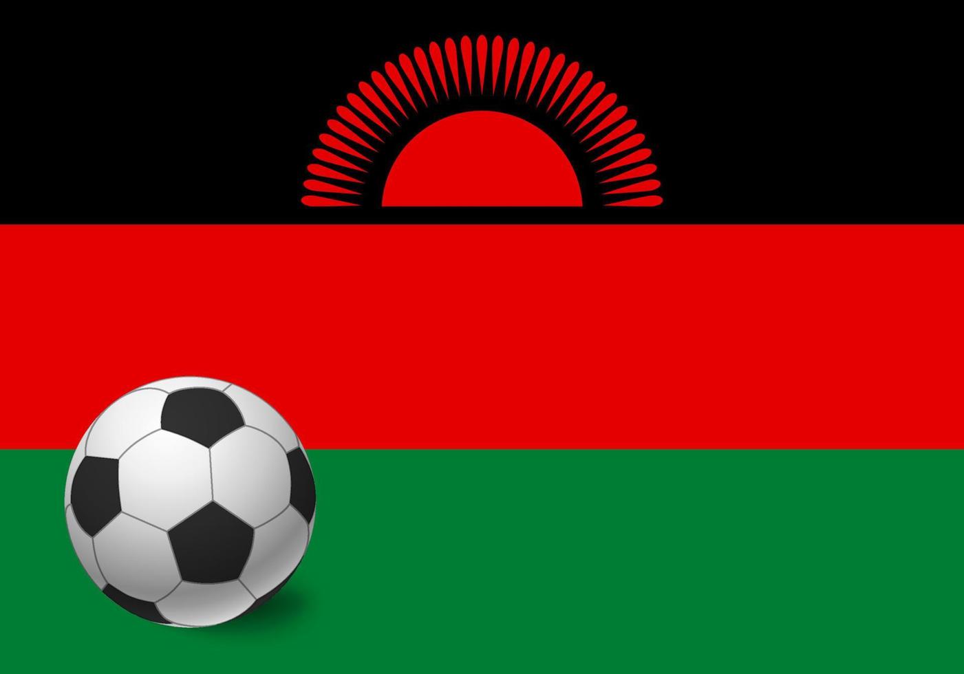Malawi flag and soccer ball vector