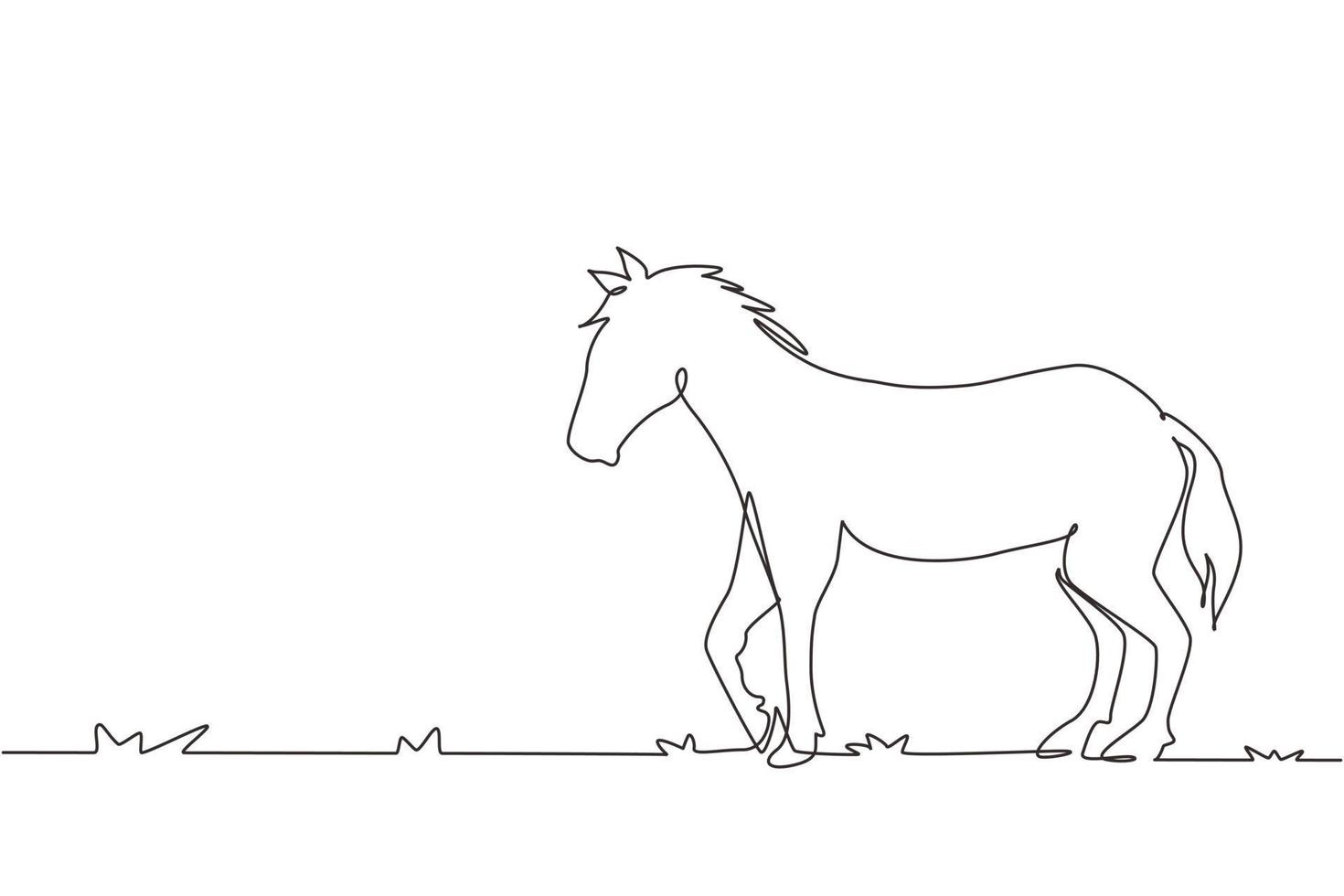 Continuous one line drawing proud white horse walks gracefully with strong character. Wild mustang gallops in free nature. Animal mascot for ranch. Single line draw design vector graphic illustration