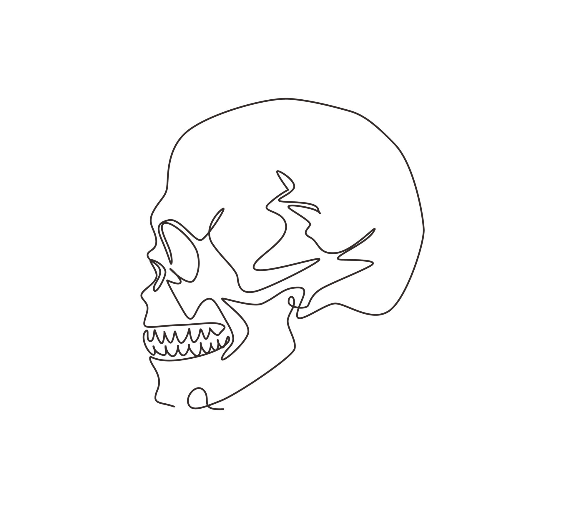 Single continuous line drawing black and white illustration of skull. Human head bone. Skeleton hand drawn tattoo design. Sketch anatomical skulls in side view. One line draw graphic design vector 8721686 Vector Single continuous line drawing black and white illustration of skull. Human head bone. Skeleton hand drawn tattoo design. Sketch anatomical skulls in side view. One line draw graphic design vector 8721686 Vector
