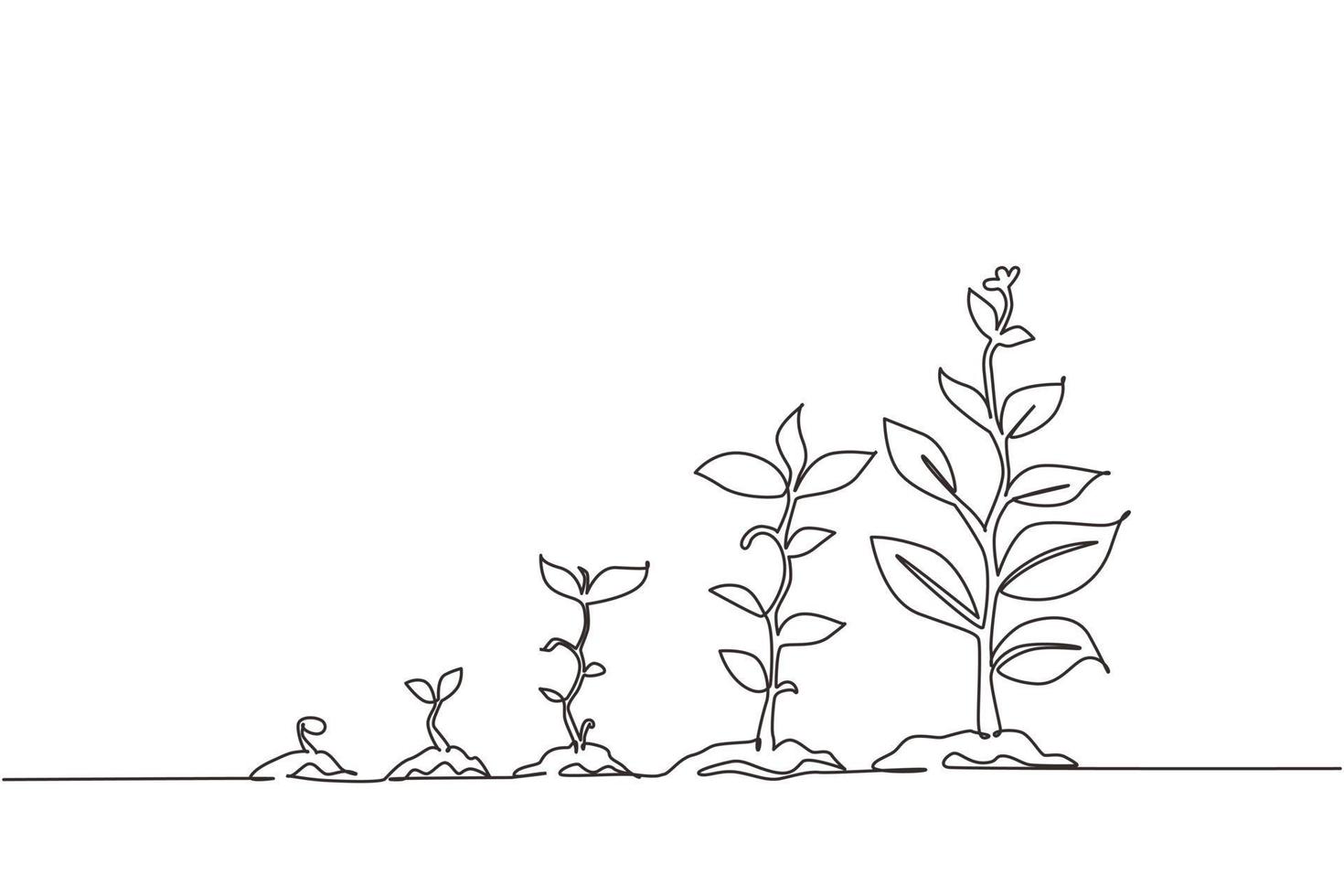 Continuous one line drawing infographic of planting tree. Seeds sprout in ground. Seedling gardening plant. Sprouts, plants, trees growing icons. Single line draw design vector graphic illustration