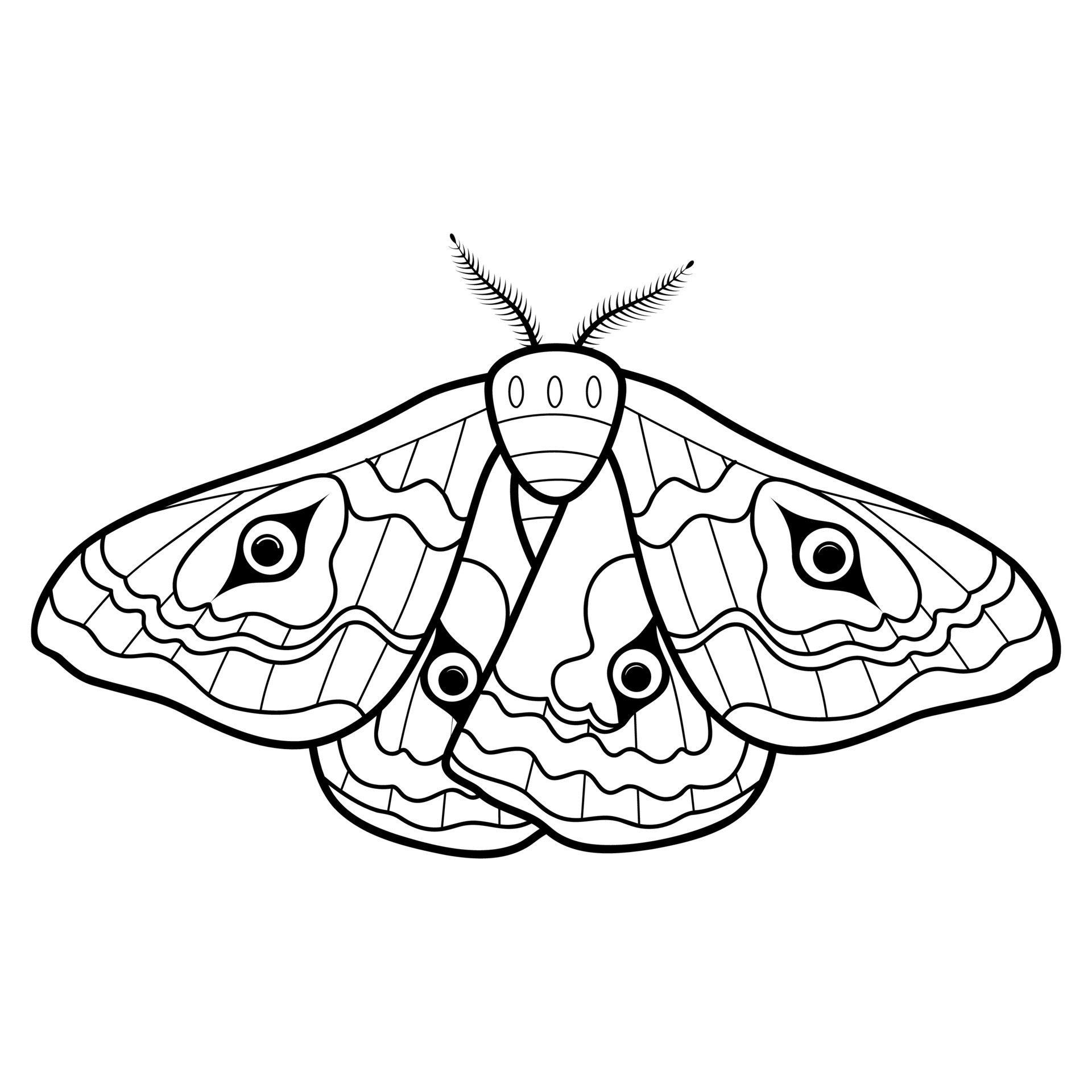 Coloring book or page for kids. Butterfly black and white vector