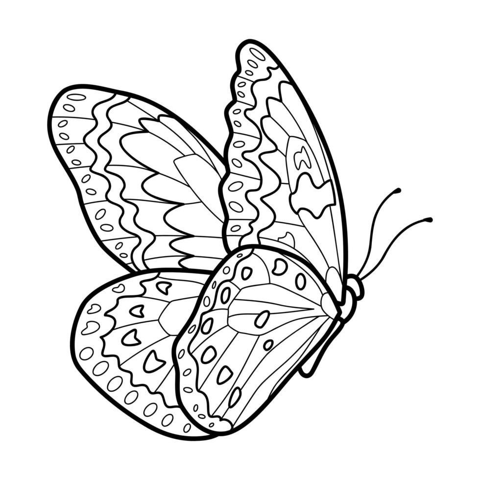 Coloring book or page for kids. Butterfly black and white vector