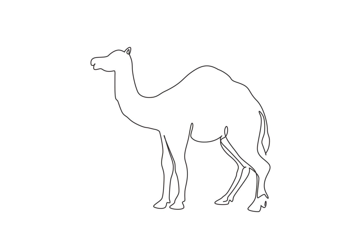 dibujo de una sola línea fuerte camello árabe del desierto para el logotipo. lindo concepto animal mamífero para la ganadería, el turismo, el transporte. ilustración de vector gráfico de diseño de dibujo de línea continua moderna