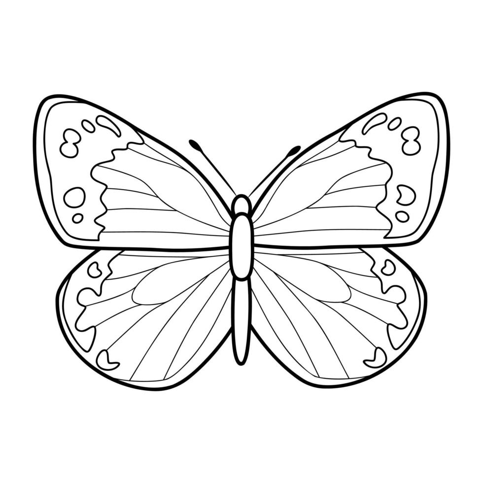 Coloring book or page for kids. Butterfly black and white vector
