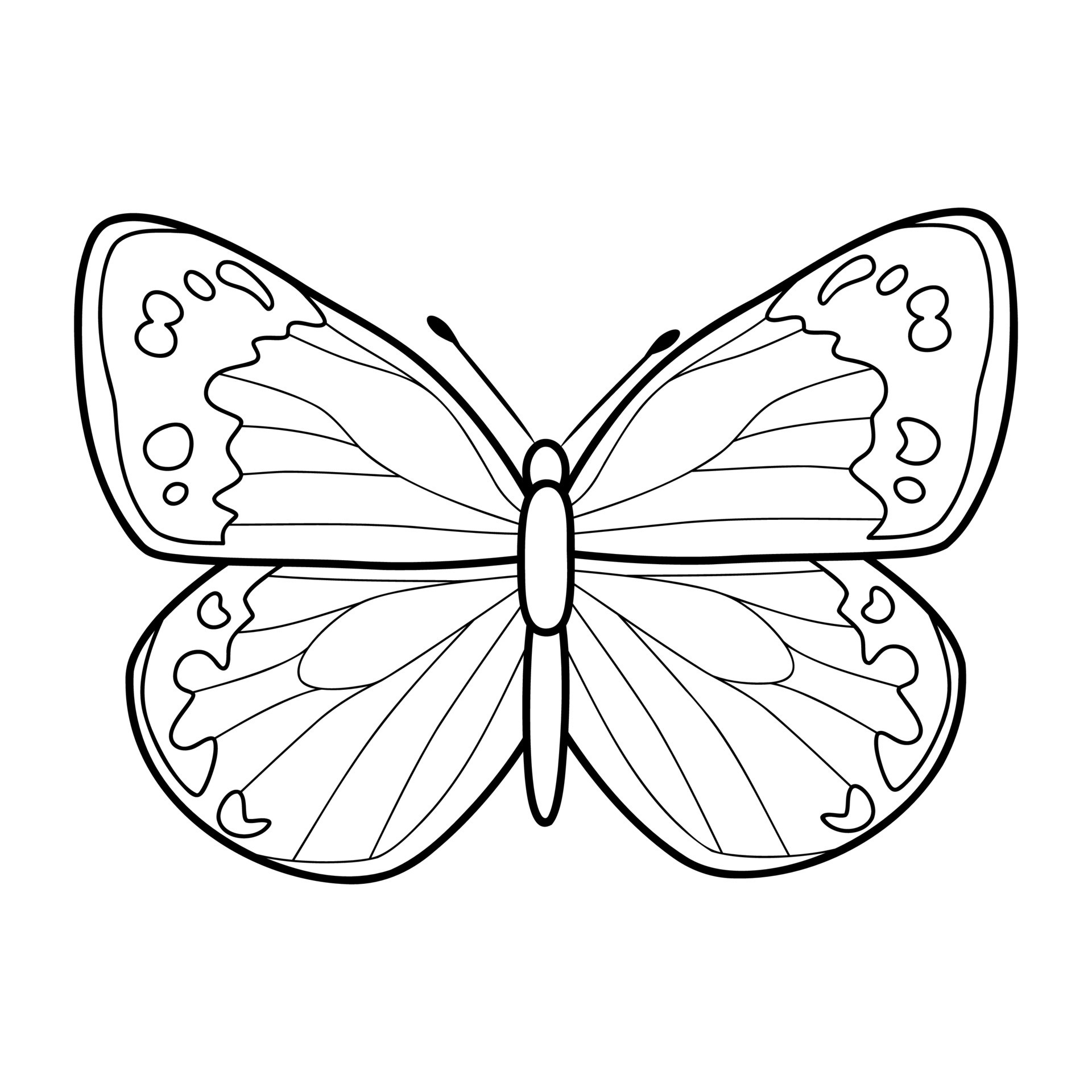 Coloring book or page for kids. Butterfly black and white vector