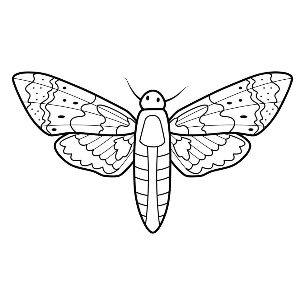 Coloring book or page for kids. Butterfly black and white vector