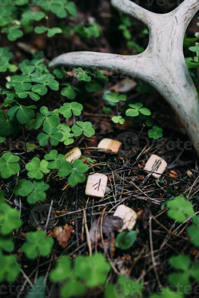 Runes scattered in mysterious forest. Occult, esoteric concept. photo