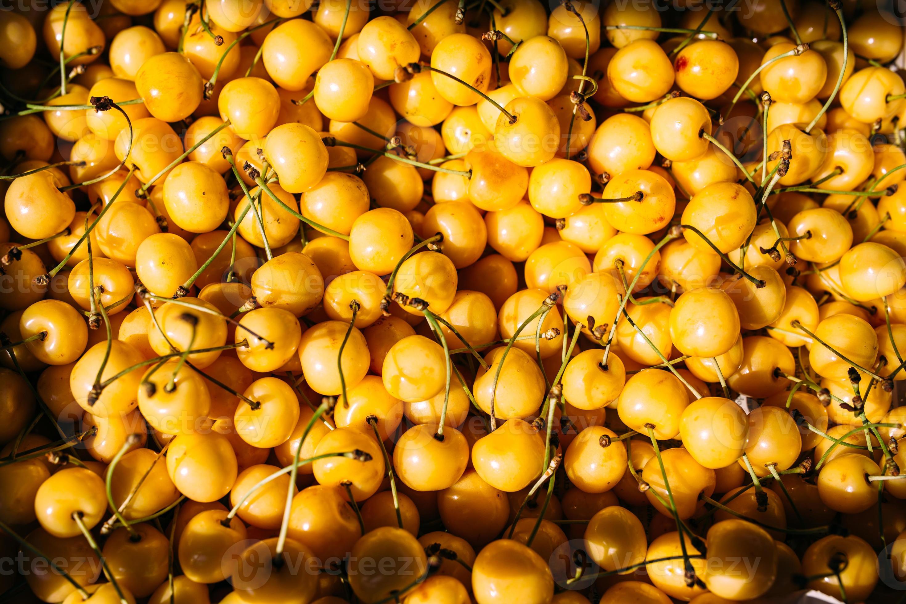 Fresh yellow cherries on a farmer’s market stall 8725806 Stock Photo at