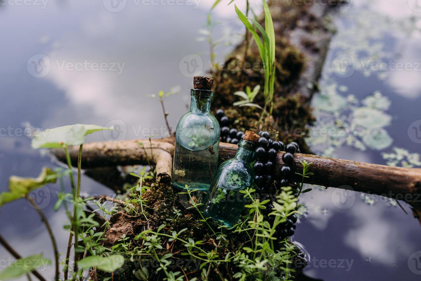 Glass bottles are filled with magic ingredients, elixir. Mysterious forest. photo