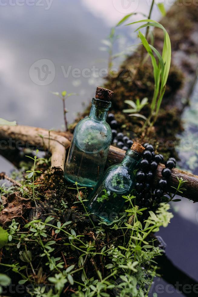 Glass bottles are filled with magic ingredients, elixir. Mysterious forest. photo