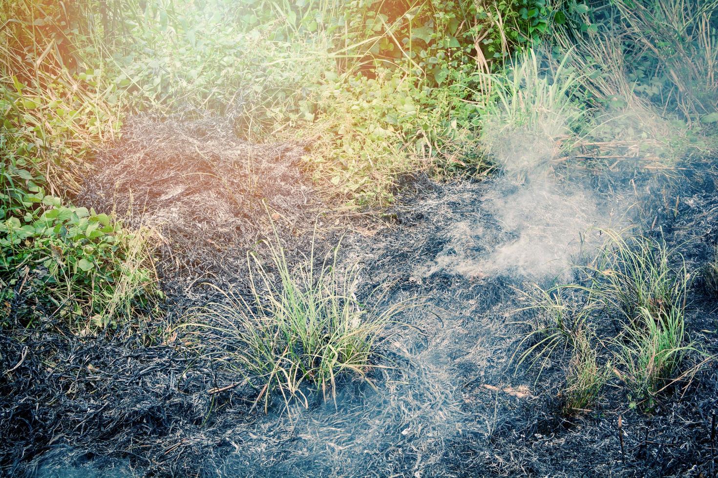 Fire burns grass on field with smoke from wildfire in the summer photo