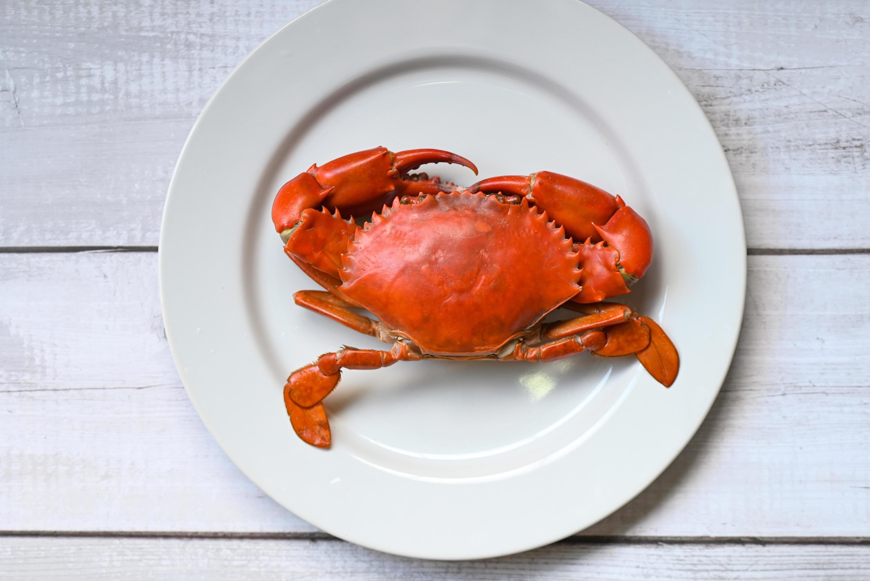 fresh crab on white plate background, seafood crab cooking food boiled