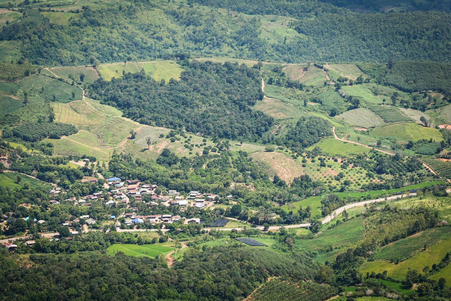 vista superior del área agrícola del pueblo vista campo verde granja agrícola y con camino a la montaña foto