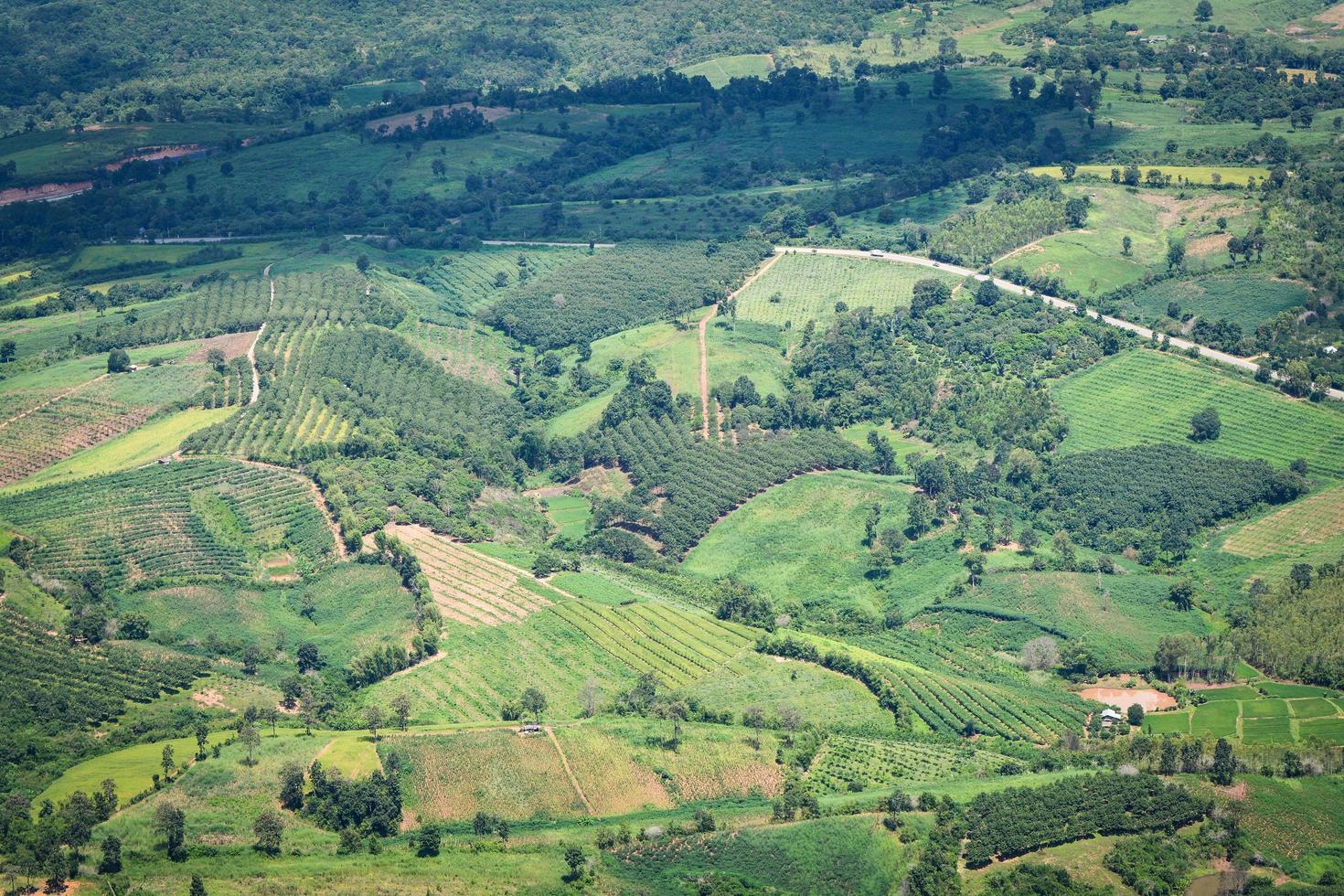 vista superior del área agrícola de campo verde con curva de carretera en el paisaje montañoso del campo agrícola en tailandia asia foto