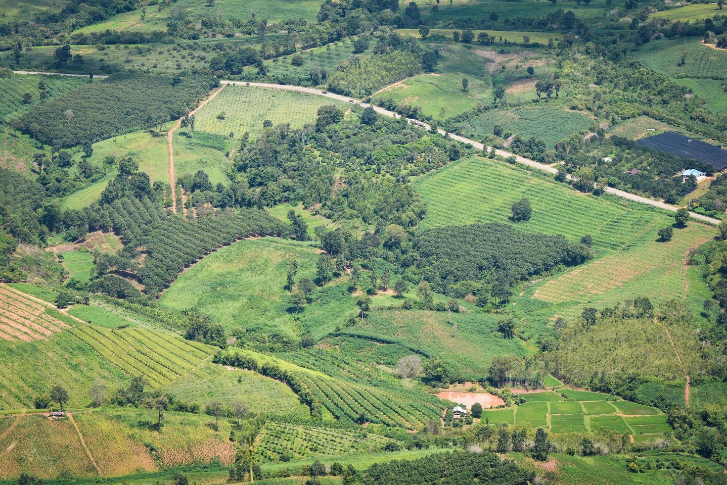 Top view green field agricultural area with road curve on the moutain photo