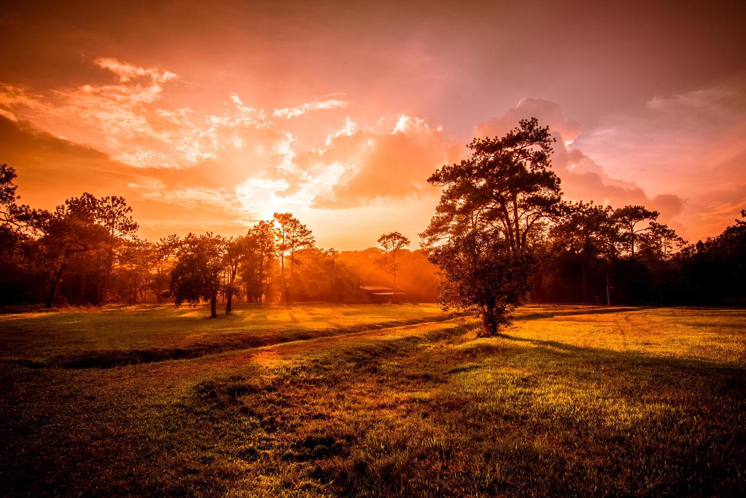 Dramatic landscape sunset on field and meadow with rural countryside and forest tree photo