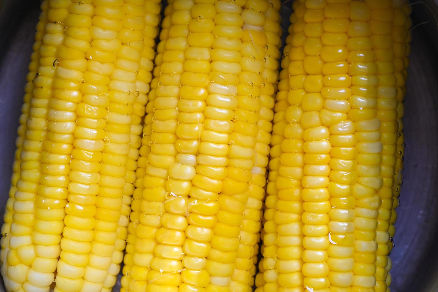 steamed or boiled sweet corn cooked in hot pot , ripe corn cobs sweetcorn for food photo