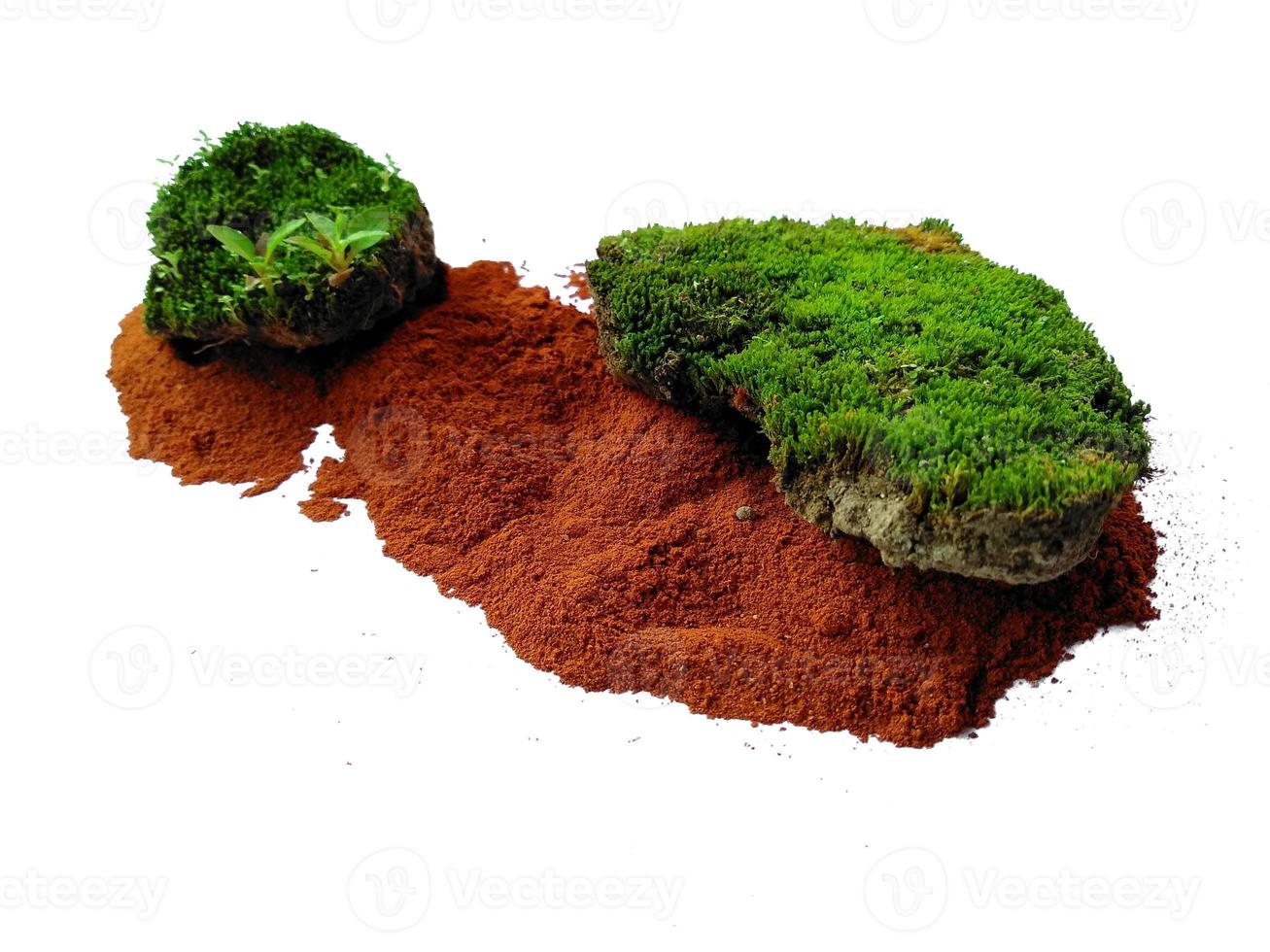 Green moss with dirt or soil isolated on white background photo