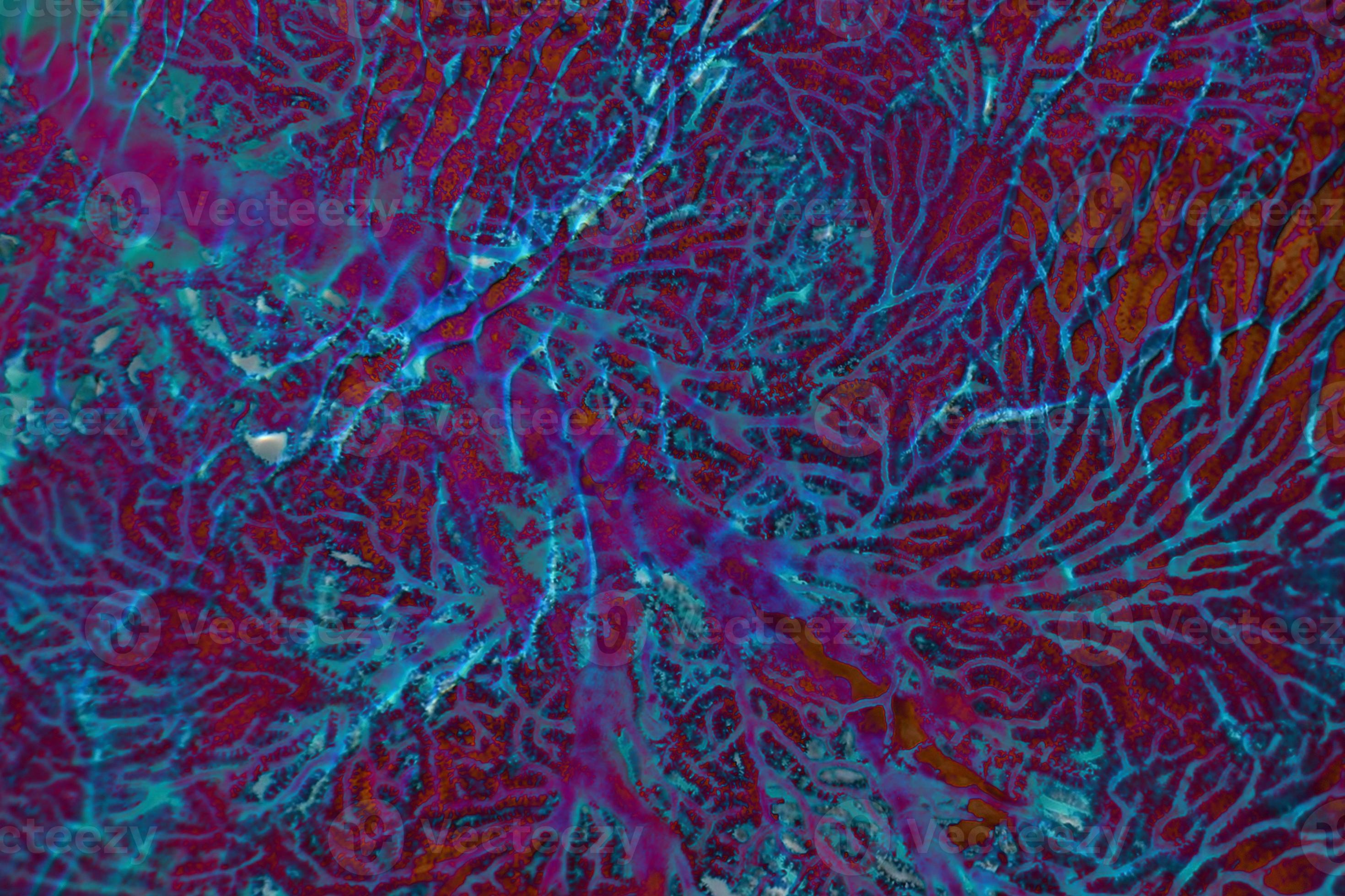 coral leaf underwater detail background. 8726989 Stock Photo at Vecteezy