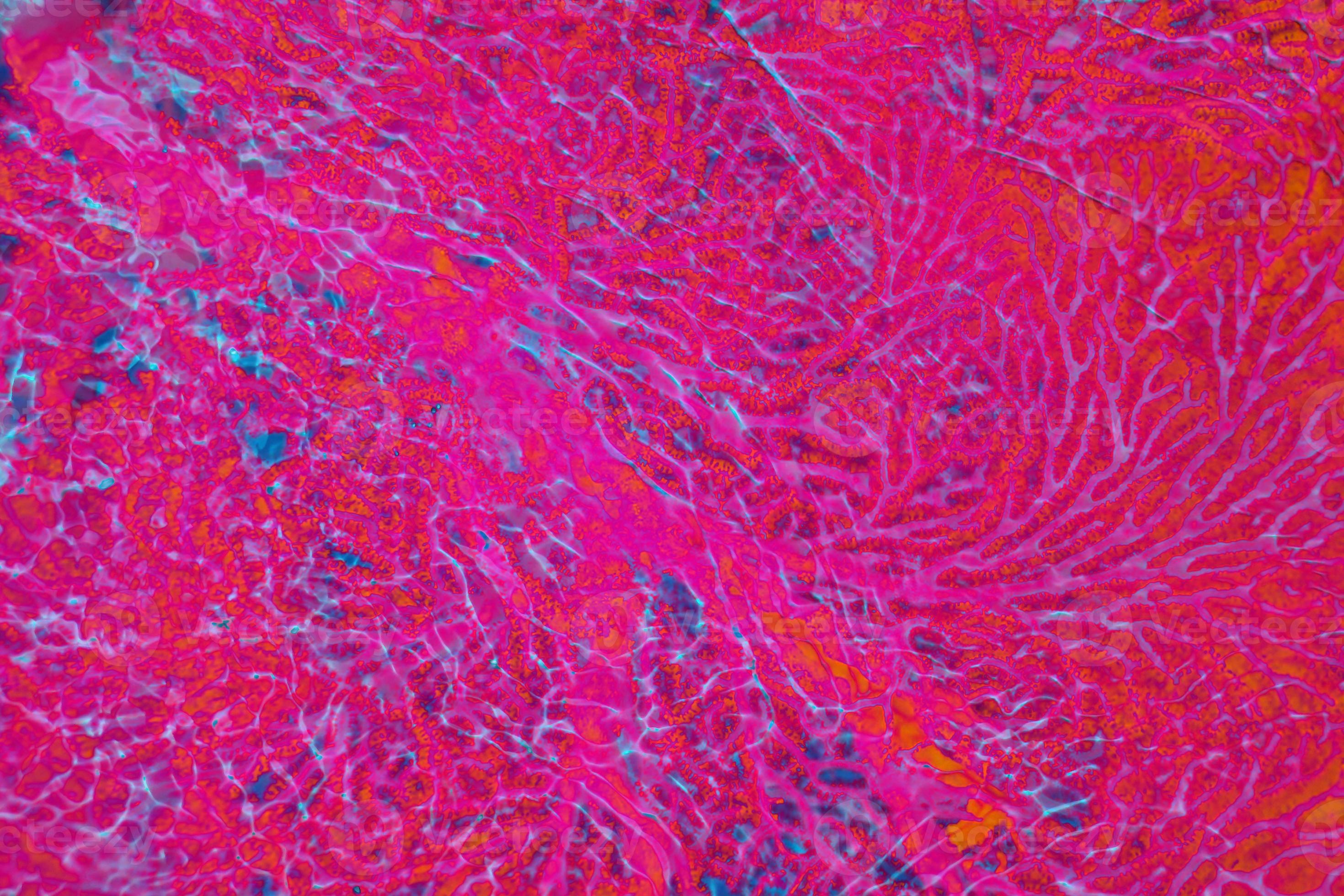 coral leaf underwater detail background. 8726990 Stock Photo at Vecteezy